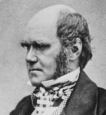 Image of Charles Darwin taken from Wikipedia
