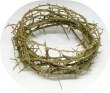 Crown of thorns