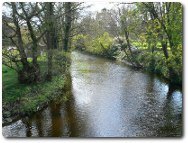 River Elwy, photo by Eirian Evans, available through Creative Commons