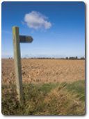 Signpost by Paul Harrop, available through Creative Commons